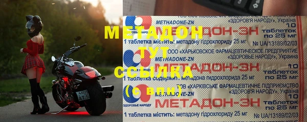 прущие грибы Алзамай