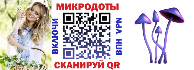 Галлюциногенные грибы мицелий  купить наркоту  Лаишево 